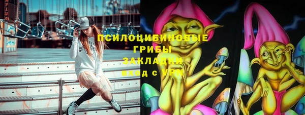 гашик Алексин