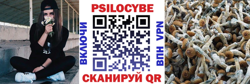Галлюциногенные грибы Cubensis  Югорск 