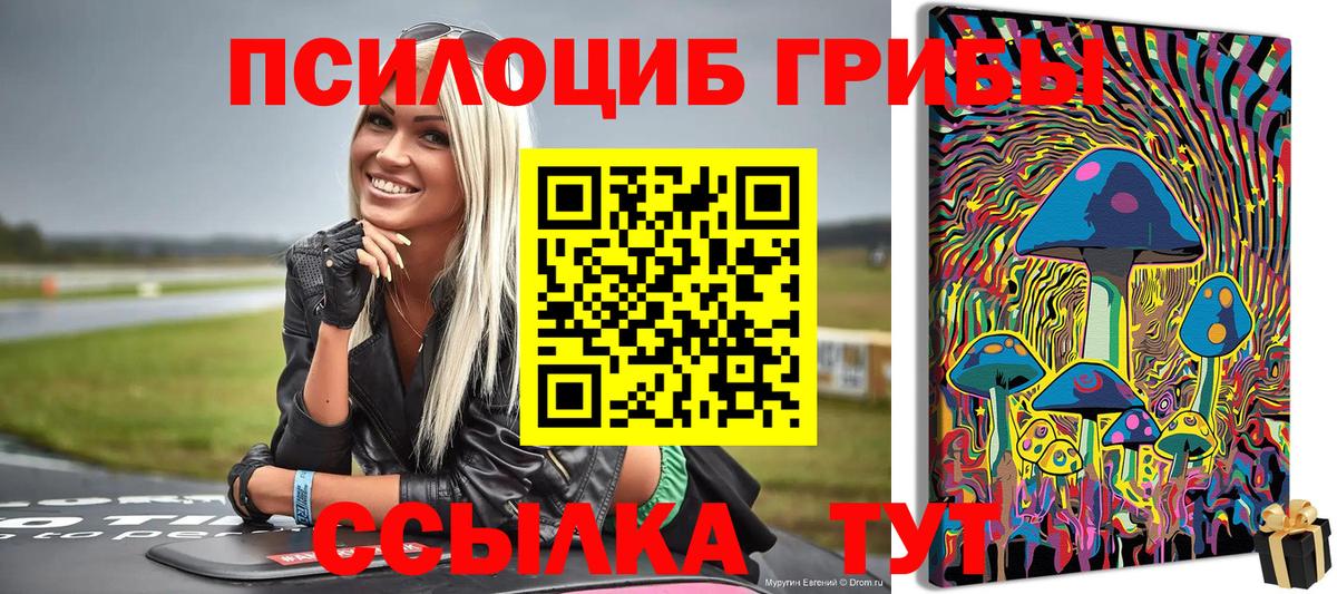 Галлюциногенные грибы Magic Shrooms  Галлюциногенные грибы Cubensis  Югорск  Вход с VPN 